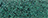 023-CACTUS 023-CACTUS