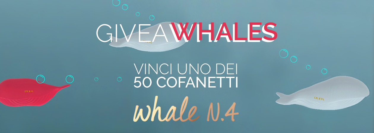 GiveAWhales - PUPA Milano